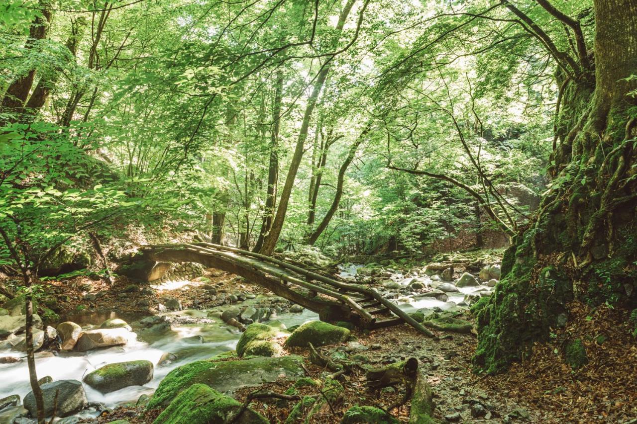 Nipponia Kosuge Village Dış mekan fotoğraf